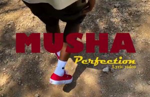 Musha – Perfection | Download Mp3