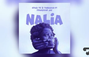 Spack ft Tundaman ft Professor Jay – NALIA | Download Mp3
