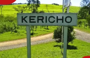 Kericho on Edge as Police Investigate Suspected Mass Grave.
