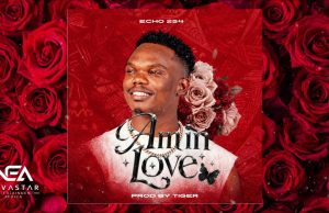 Echo 254 – Am in love | Download Mp3