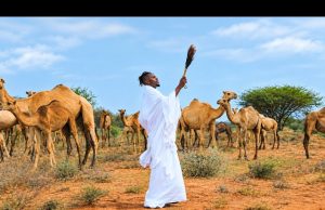 VIDEO | IYANII – HALLELUJAH | DOWNLOAD MP3